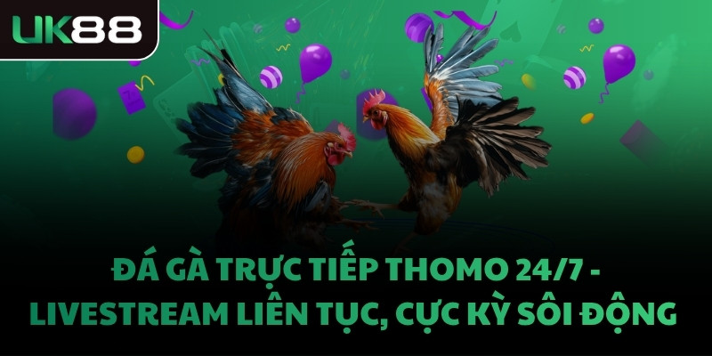 ĐÁ GÀ TRỰC TIẾP THOMO 24/7 - LIVESTREAM LIÊN TỤC, CỰC KỲ SÔI ĐỘNG