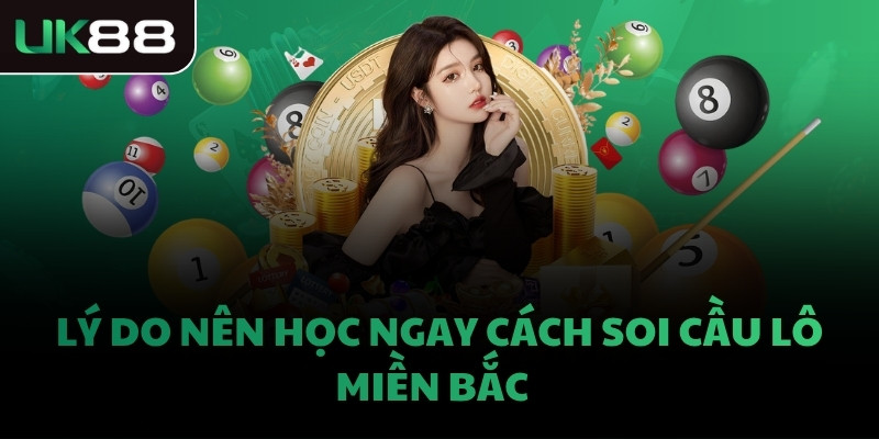 Lý do nên học ngay cách soi cầu lô miền Bắc