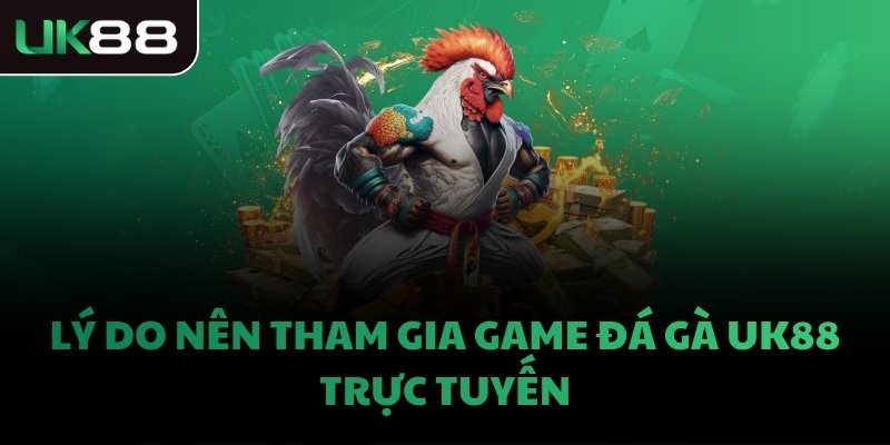 Lý do nên tham gia game đá gà UK88 trực tuyến