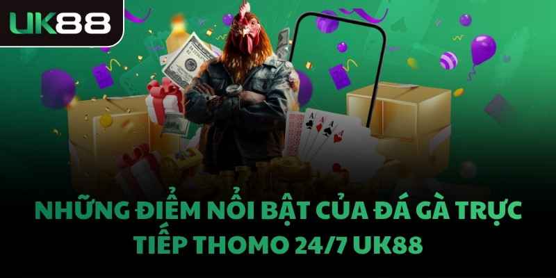 Những điểm nổi bật của đá gà trực tiếp Thomo 24/7 UK88