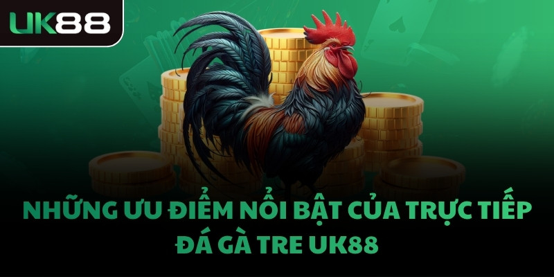Những ưu điểm nổi bật của trực tiếp đá gà tre UK88