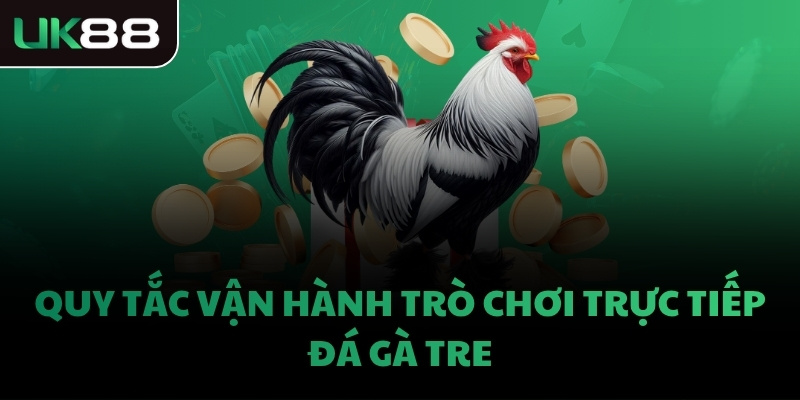 Quy tắc vận hành trò chơi trực tiếp đá gà tre