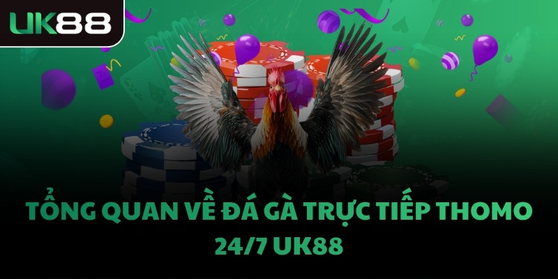 Tổng quan về đá gà trực tiếp Thomo 24/7 UK88