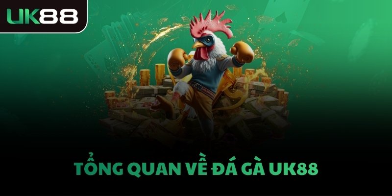 Tổng quan về đá gà UK88