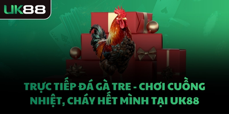 TRỰC TIẾP ĐÁ GÀ TRE - CHƠI CUỒNG NHIỆT, CHÁY HẾT MÌNH TẠI UK88