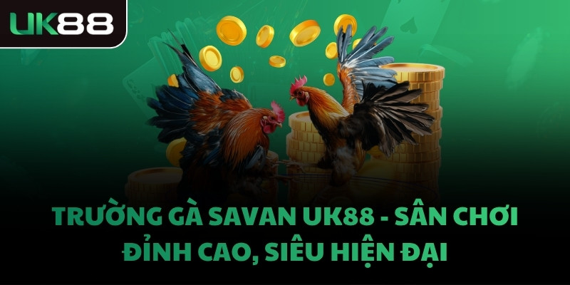 TRƯỜNG GÀ SAVAN UK88 - SÂN CHƠI ĐỈNH CAO, SIÊU HIỆN ĐẠI